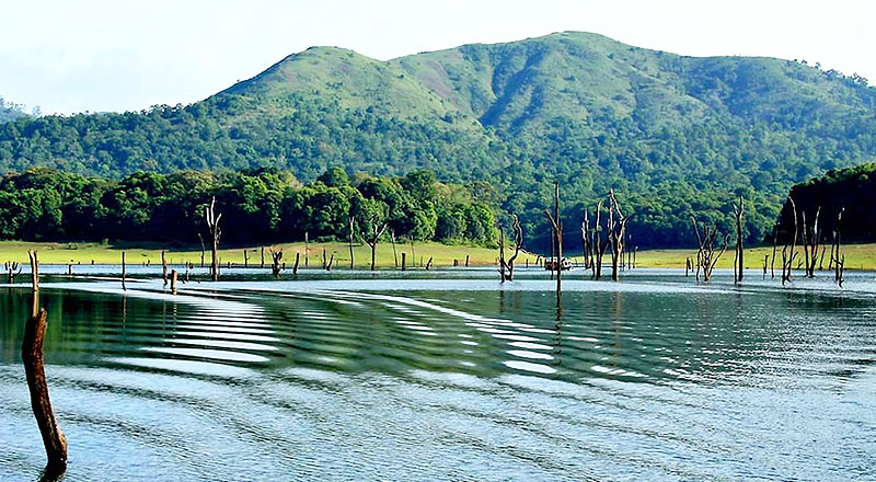about-kerala-ayurveda